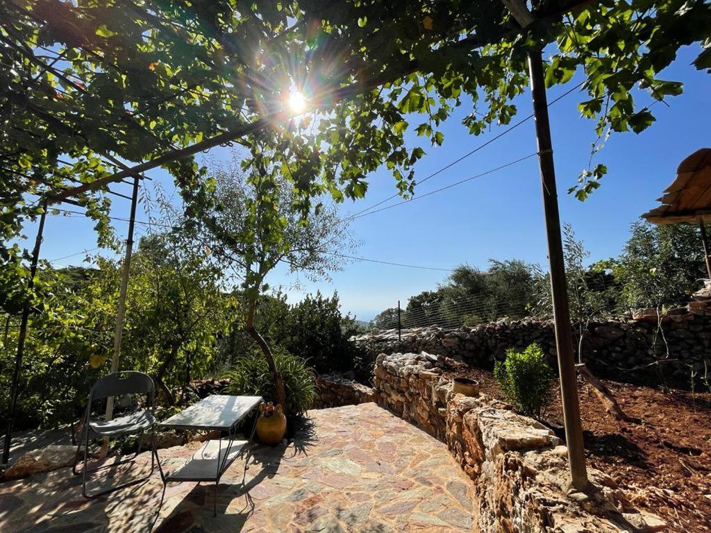 Find Your Peace In A Traditional Country House!! Láyia Екстериор снимка