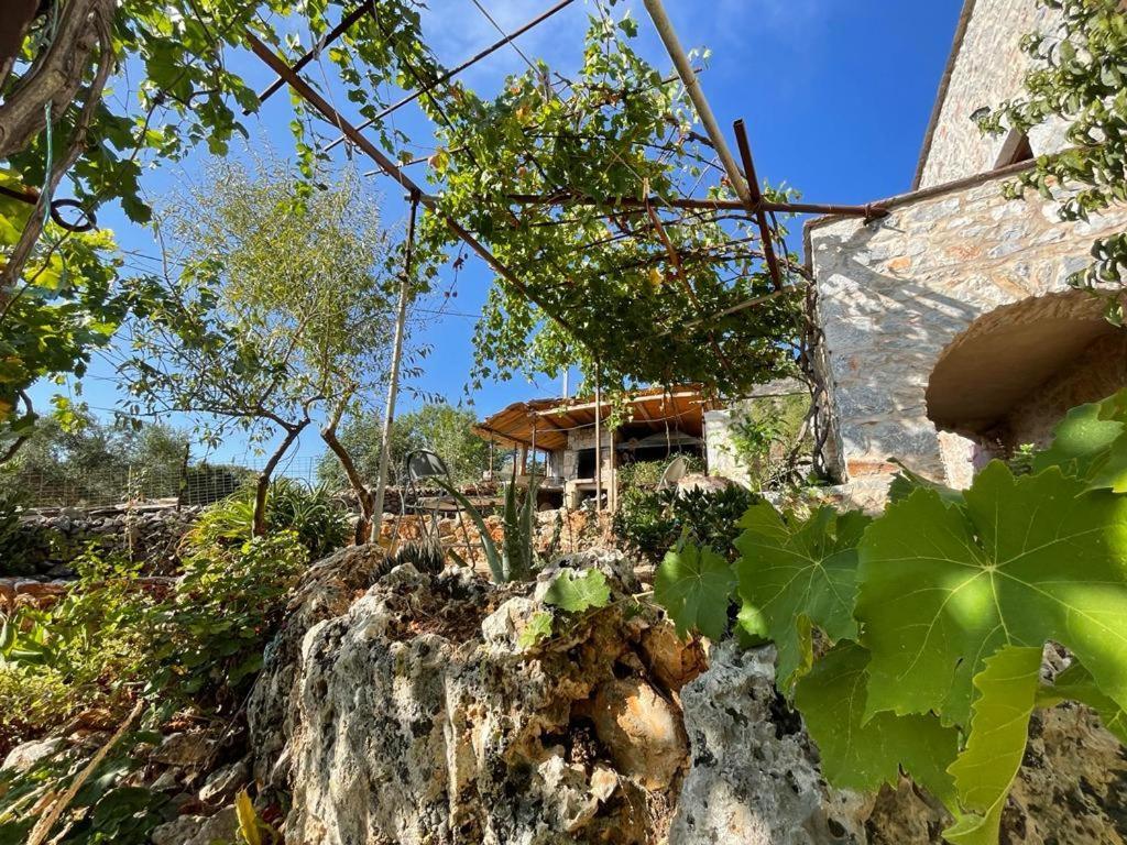 Find Your Peace In A Traditional Country House!! Láyia Екстериор снимка