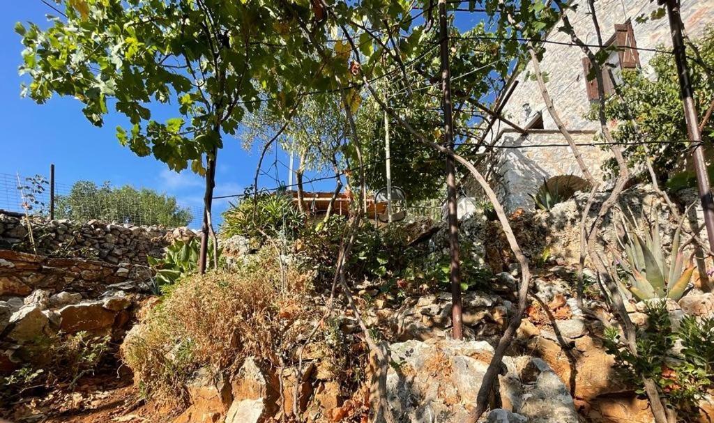 Find Your Peace In A Traditional Country House!! Láyia Екстериор снимка